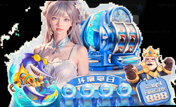 浏览内容概览